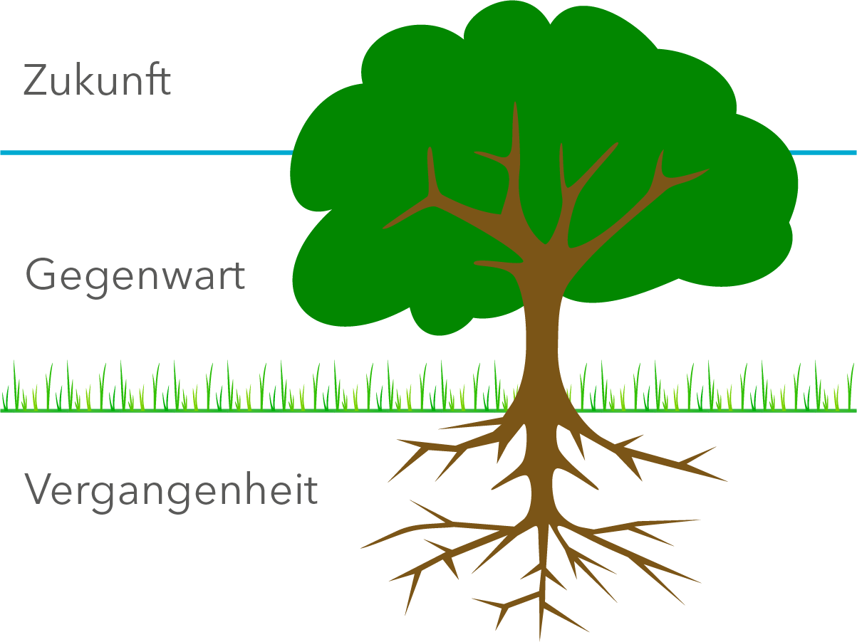 Grundstruktur Baum der Entwicklung
