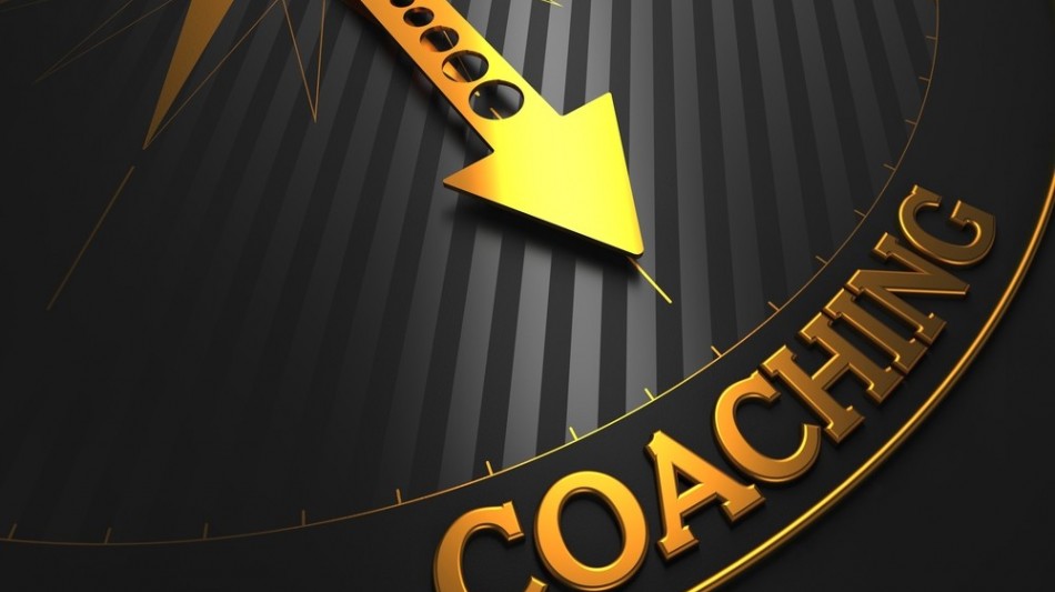 Das Image der Coaching-Branche 